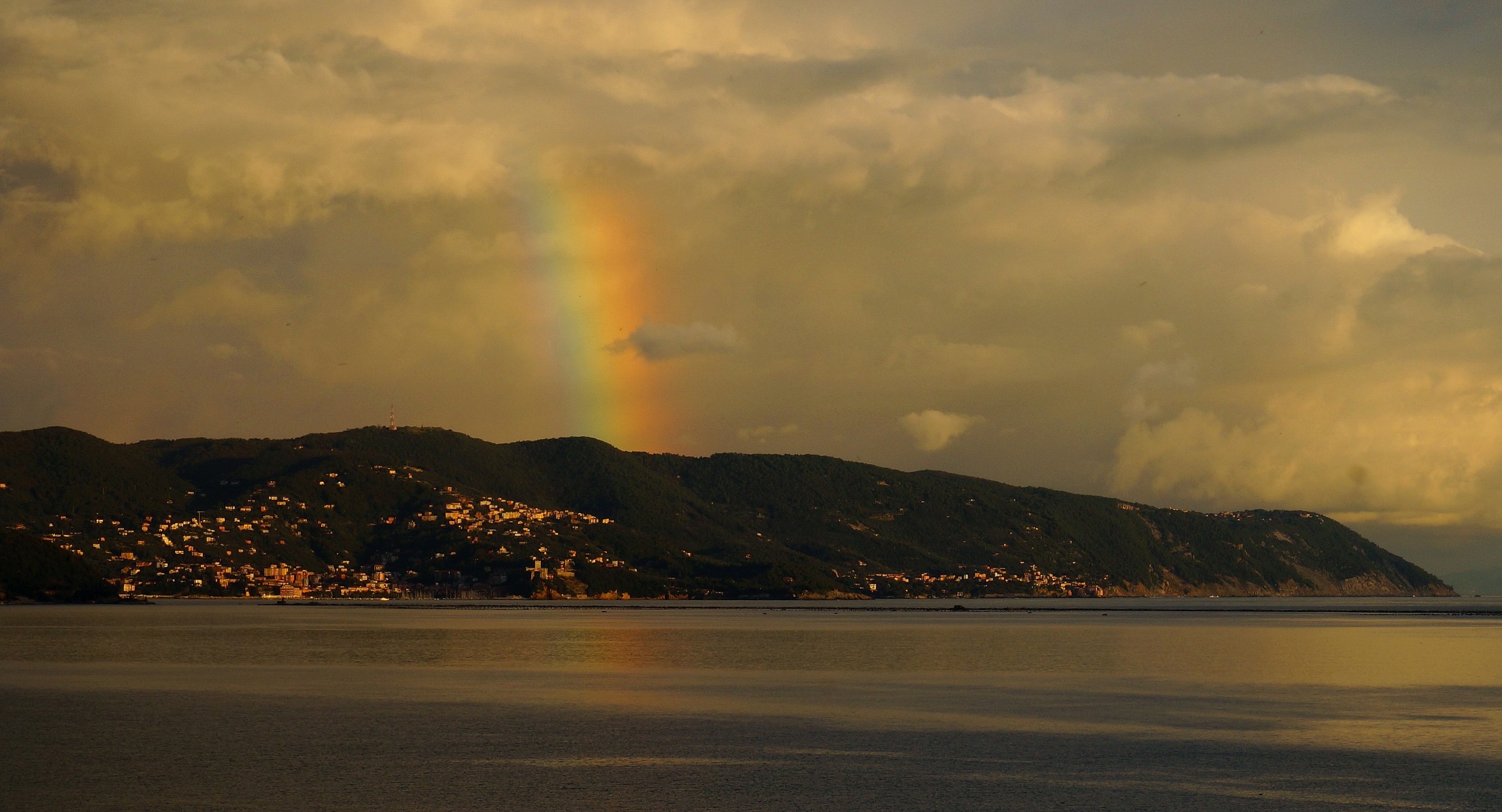 Nel cupo un po' di colore