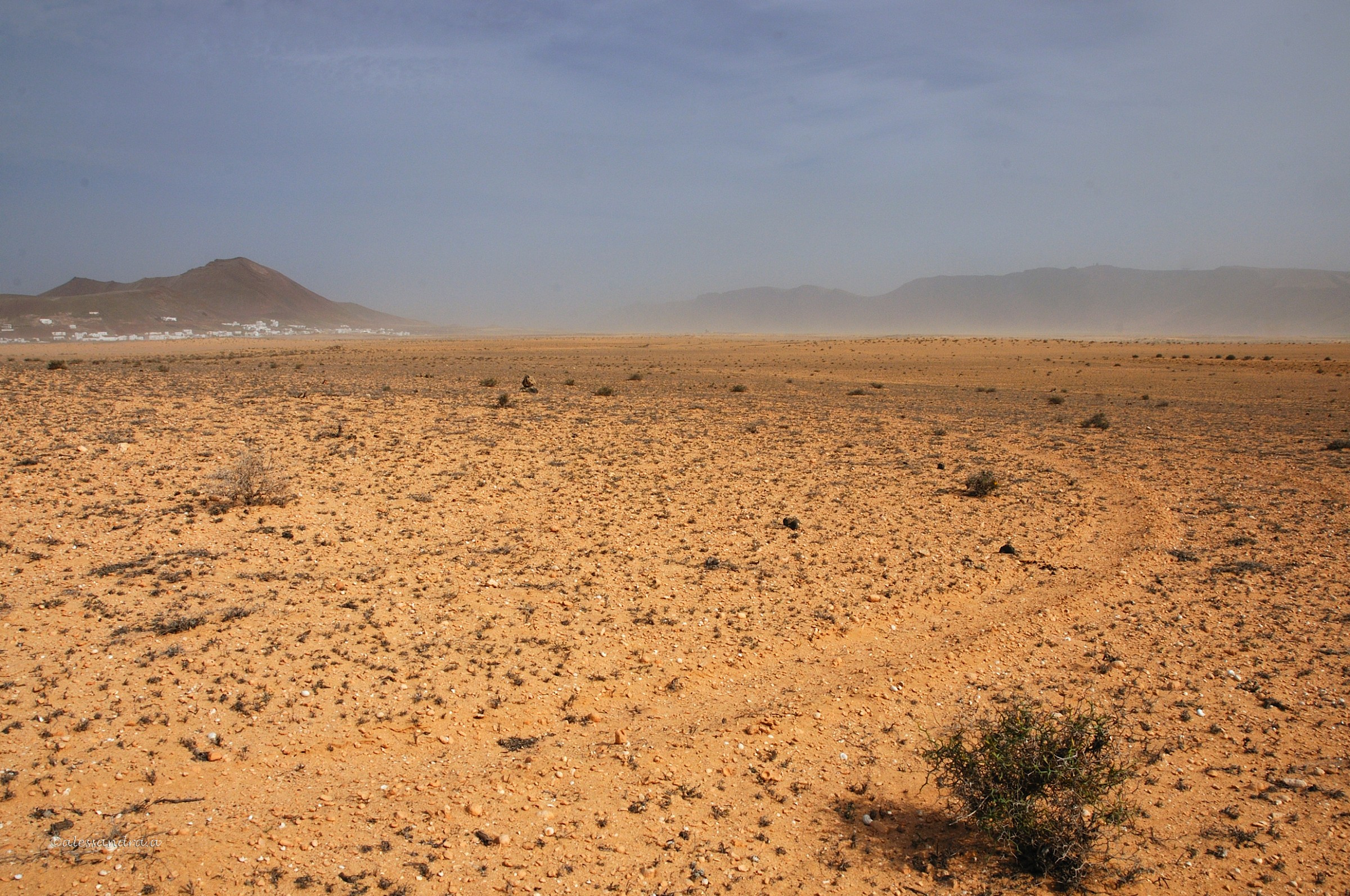 Lanzarote , Soo desert
