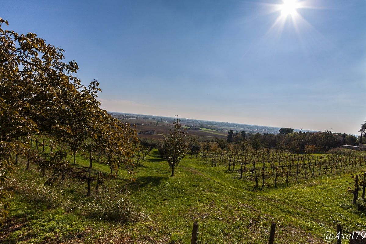 Paesaggio di campagna