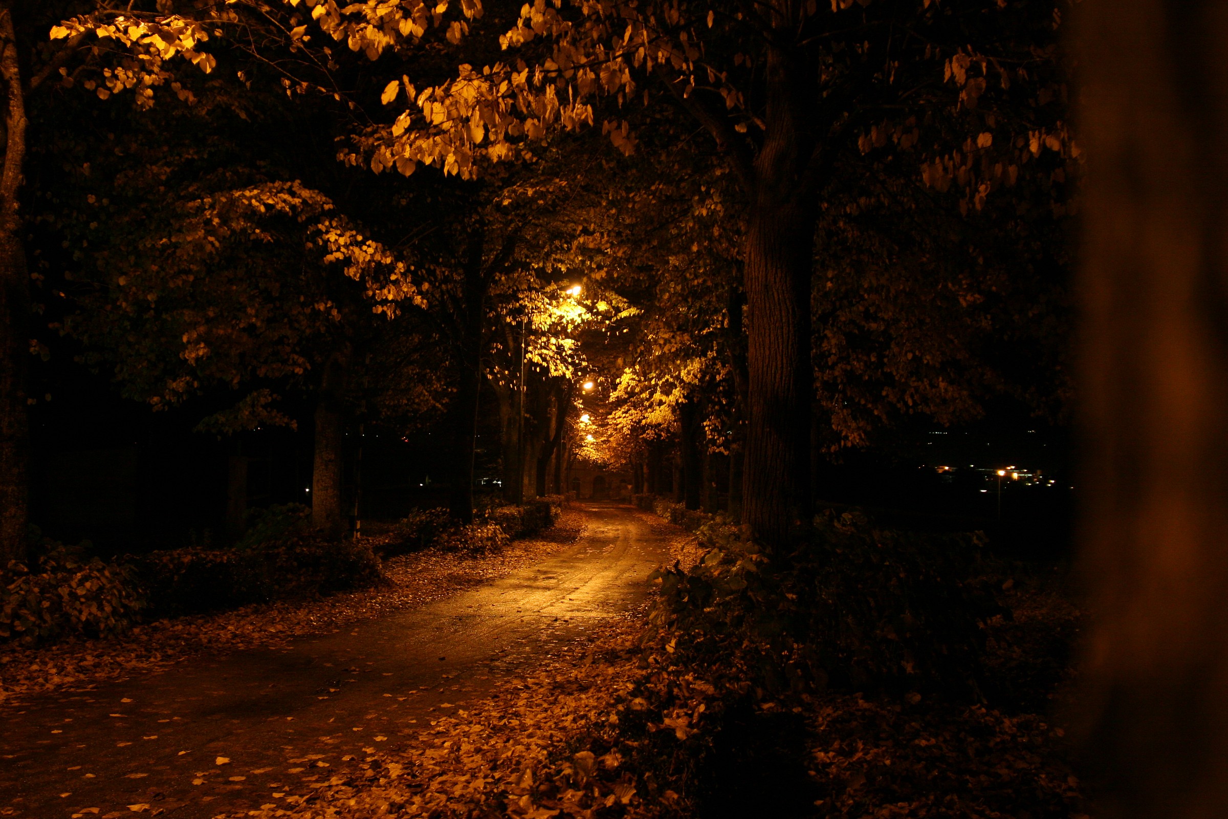 La strada a...dorata