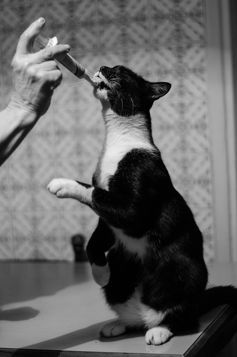 Come mi piace la medicina! 1 - Billi