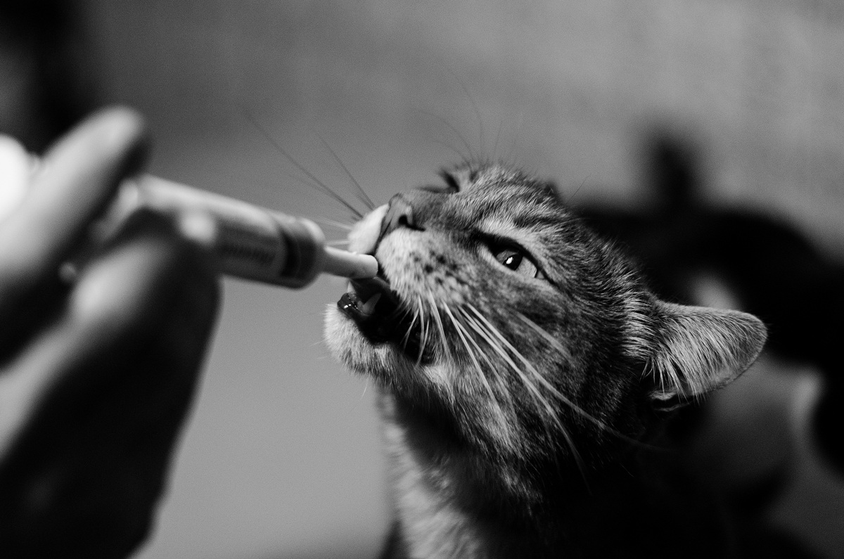 Come mi piace la medicina! 2 - Gigio