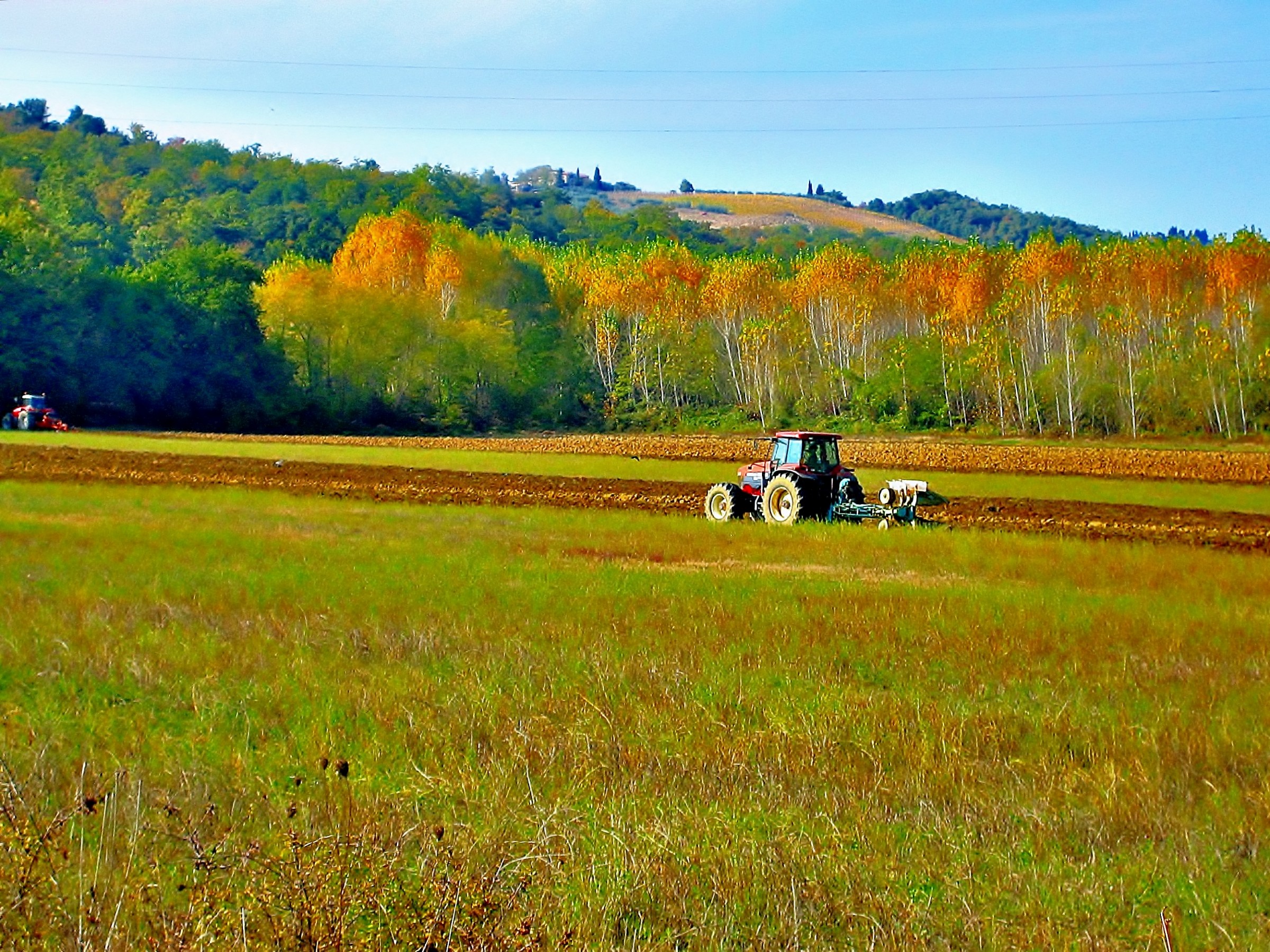 Tuscan countryside