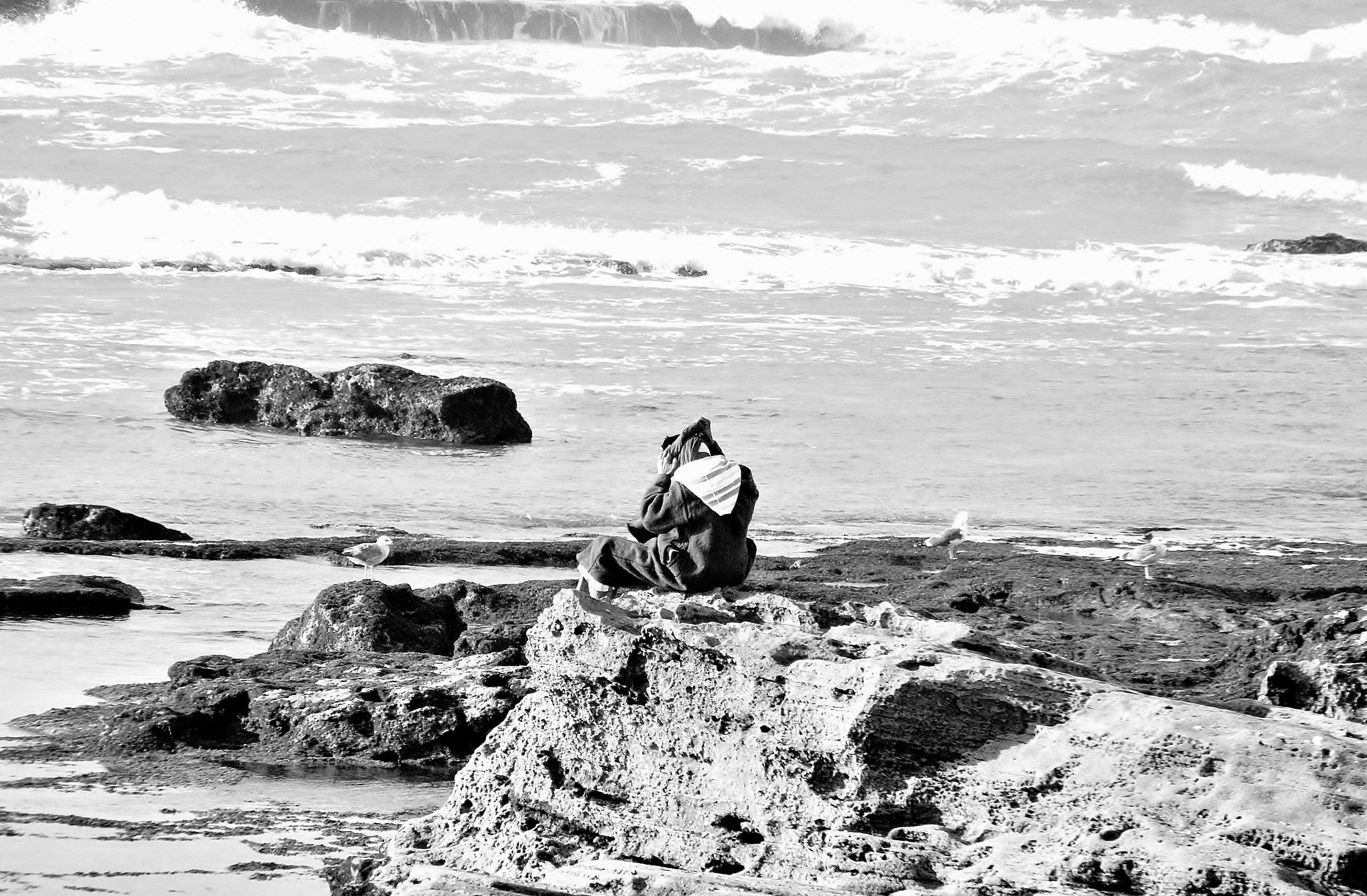 the old man and the sea