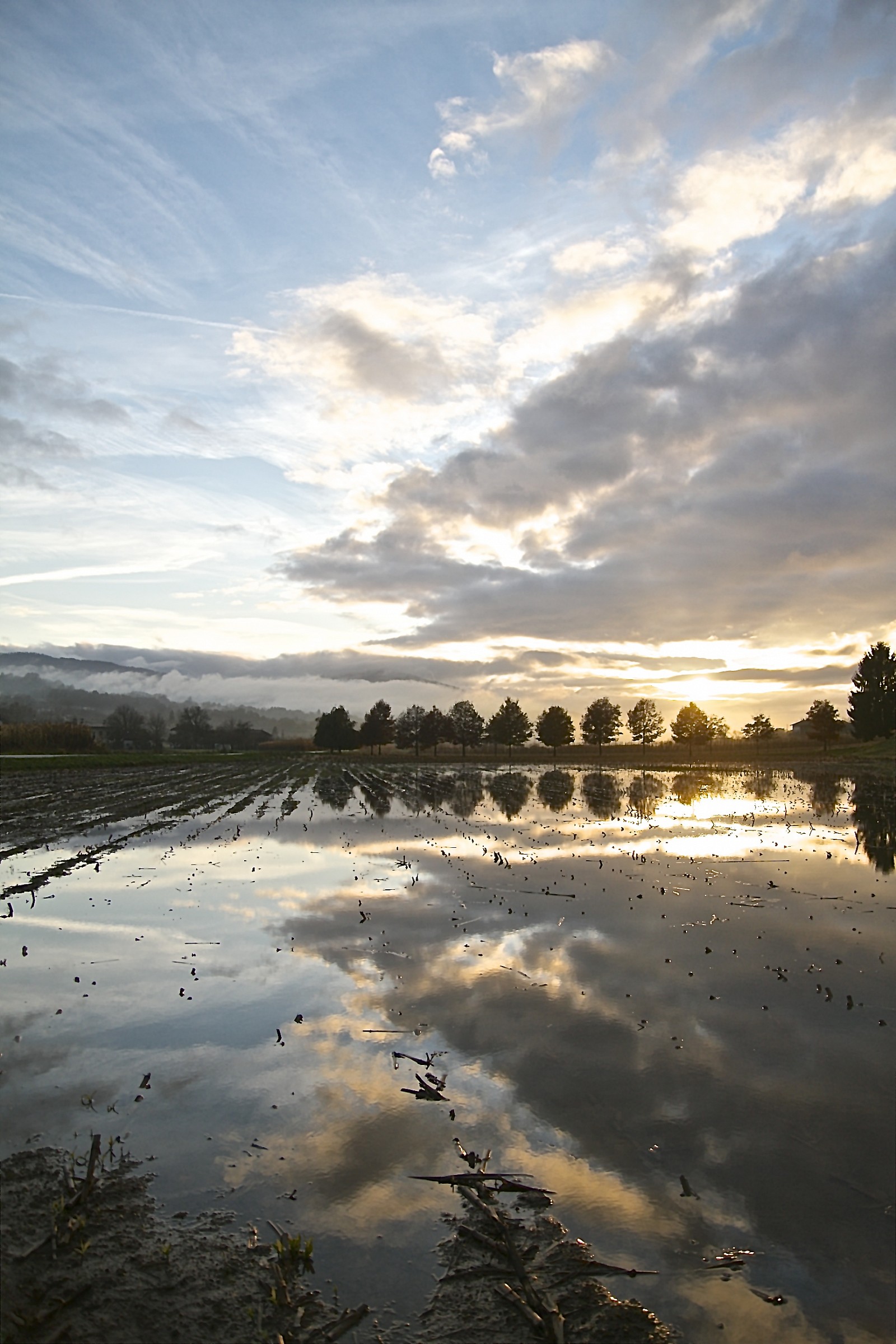 Peace after the Storm