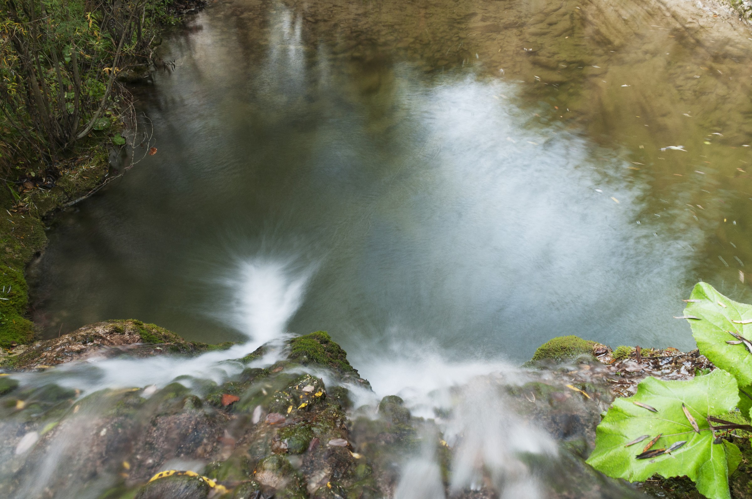 small waterfall in the forest