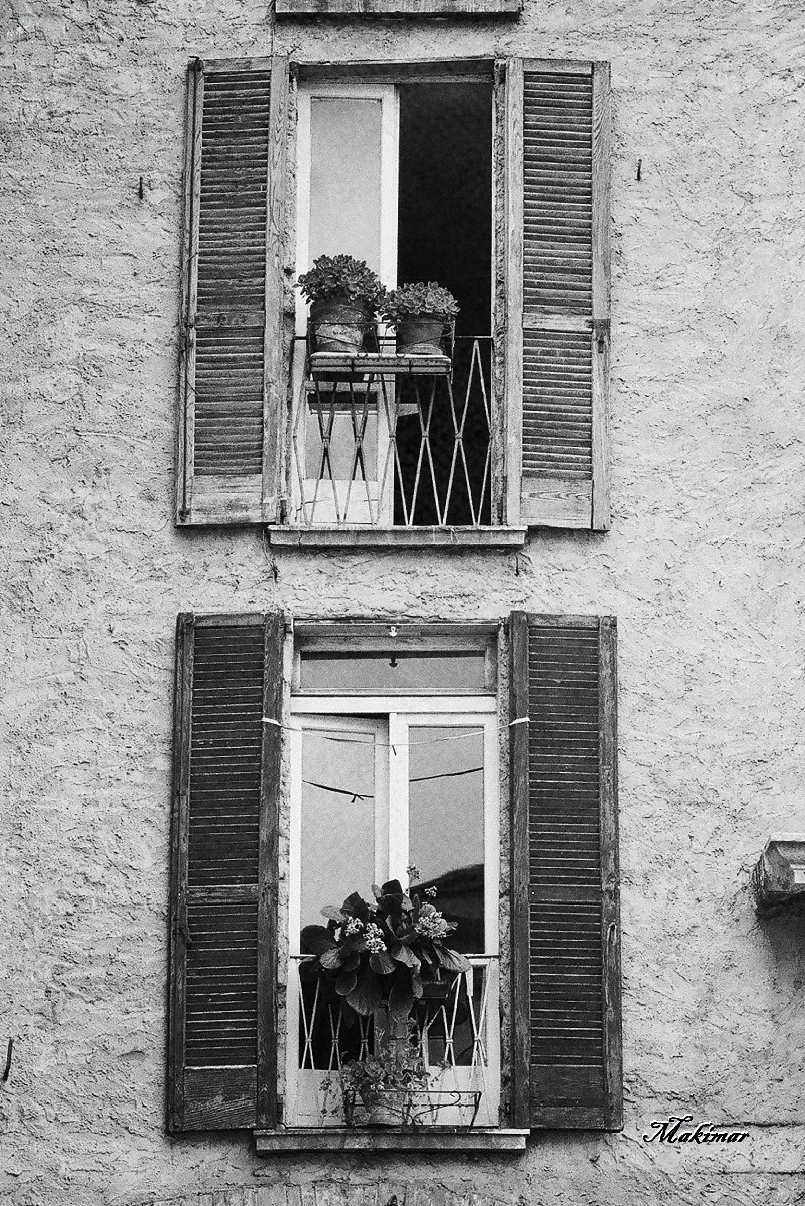 Window of the serenade