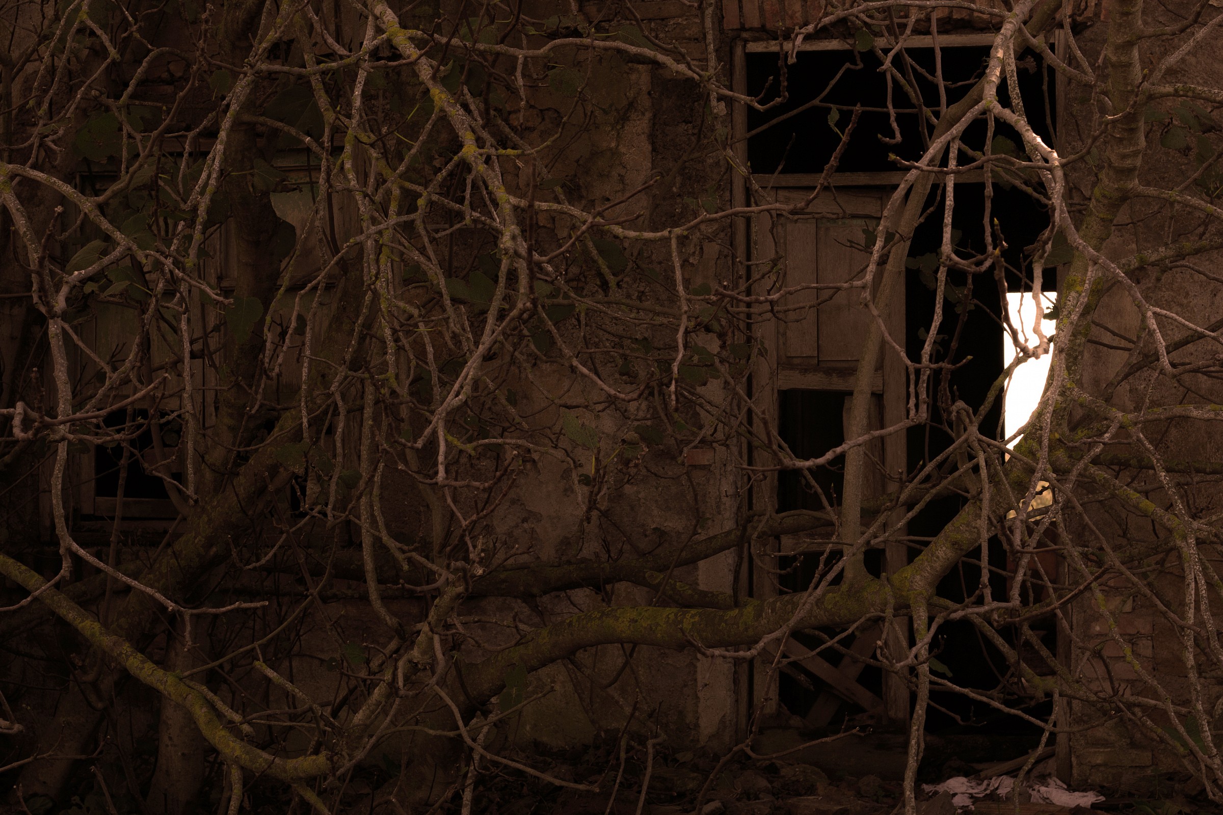 Il sopravvento della natura