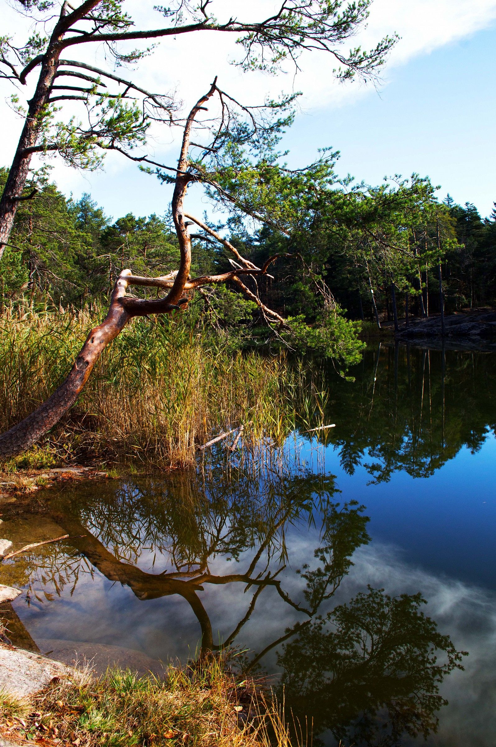 riflessi lago Goller