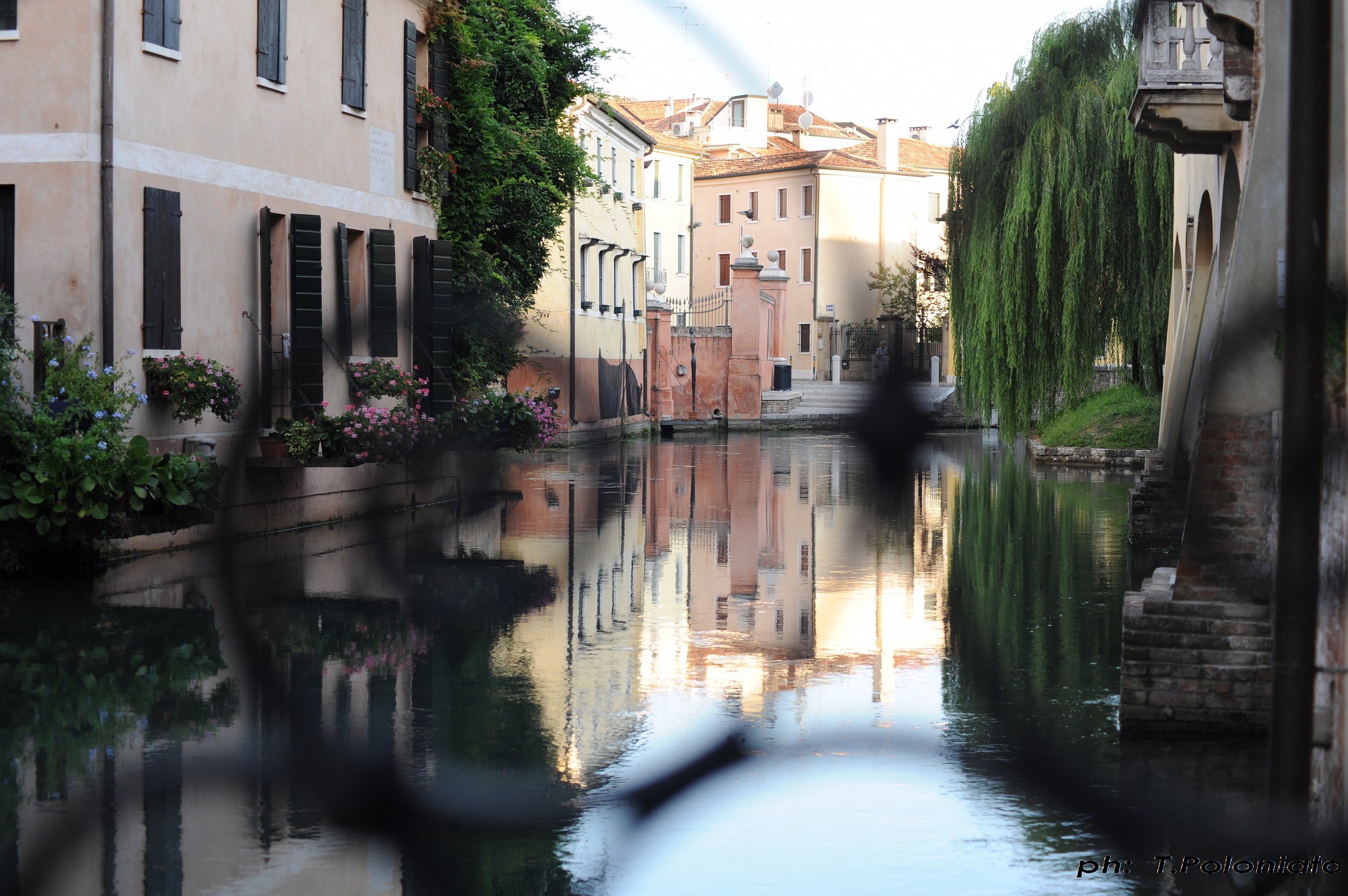 Lights and shadows through a curl