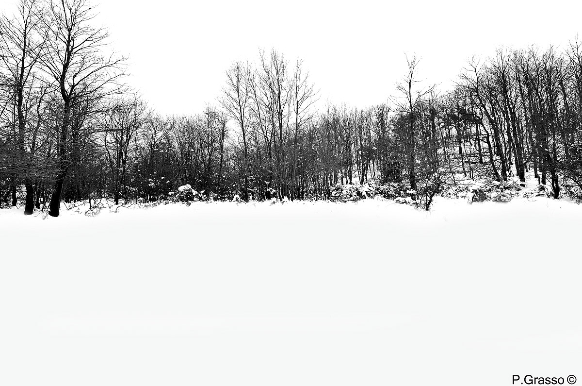 Snow on nebrodi - Caronia (Me)