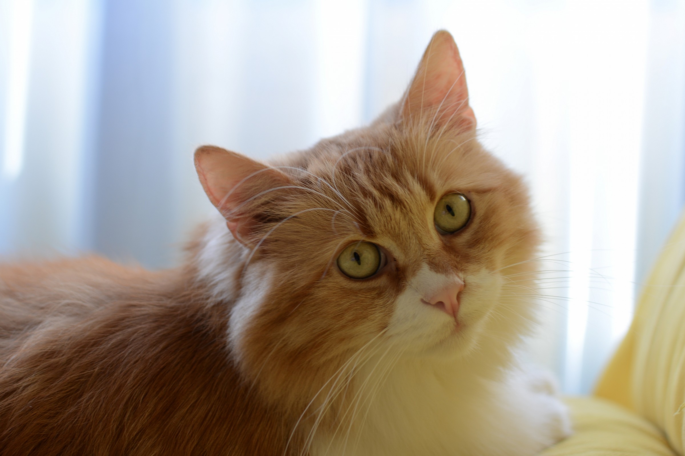 First shots with the D7100