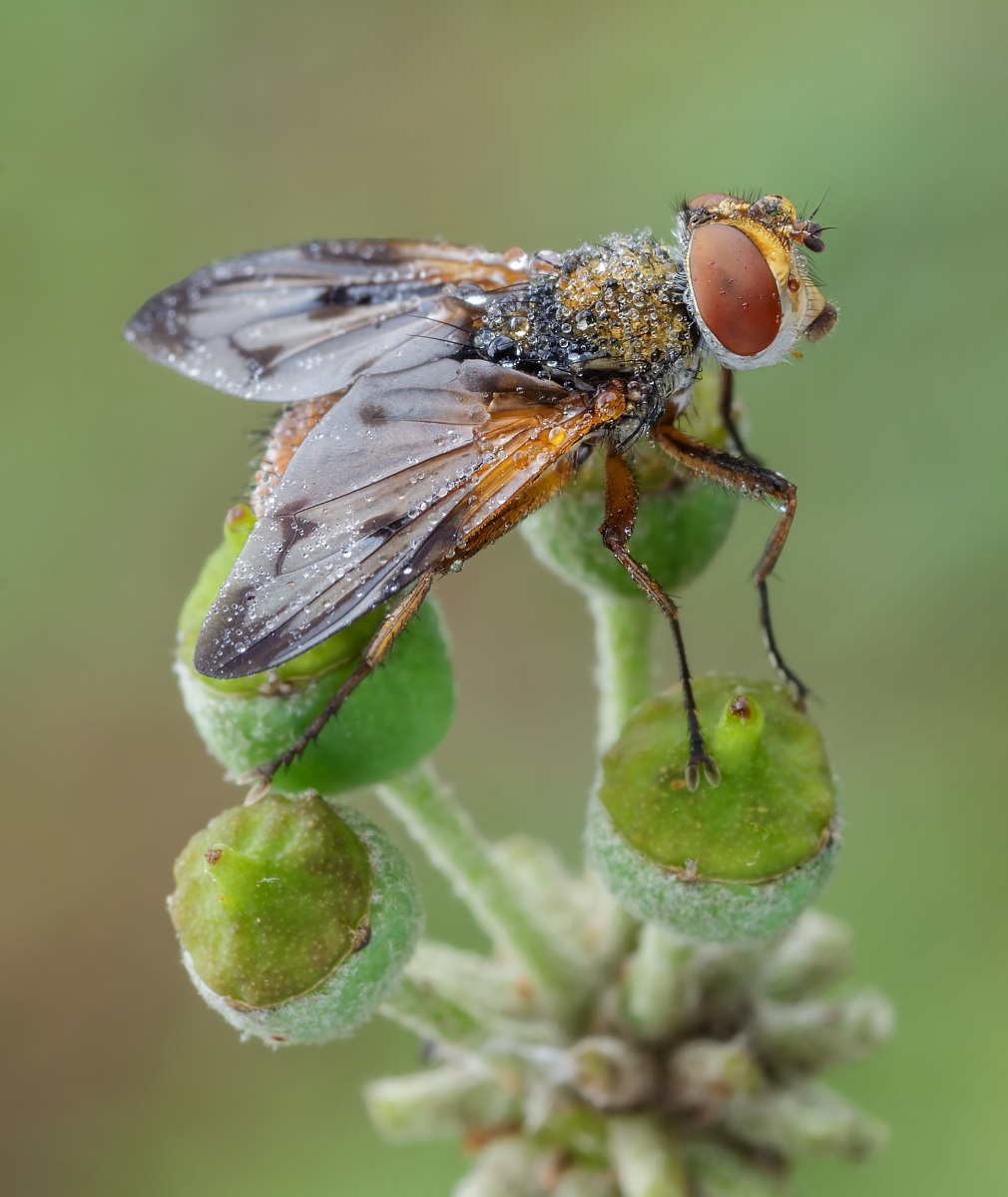 Raggiunta la vetta...