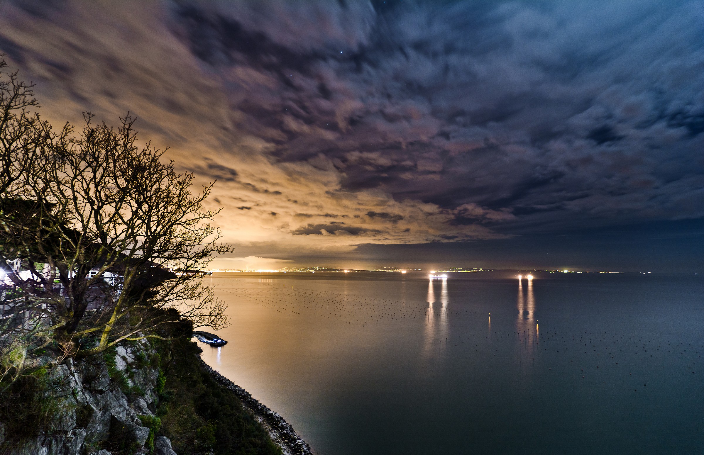 Coming home (Trieste)