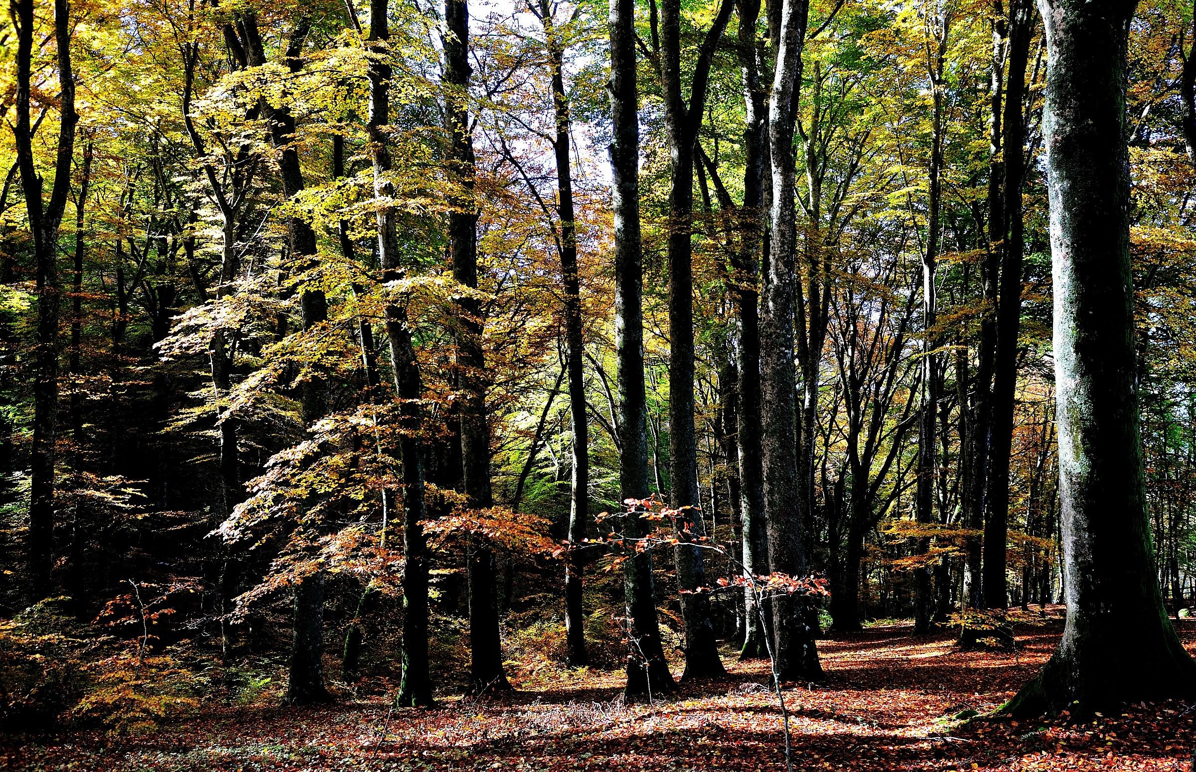 Fggeta Cimini Mountains