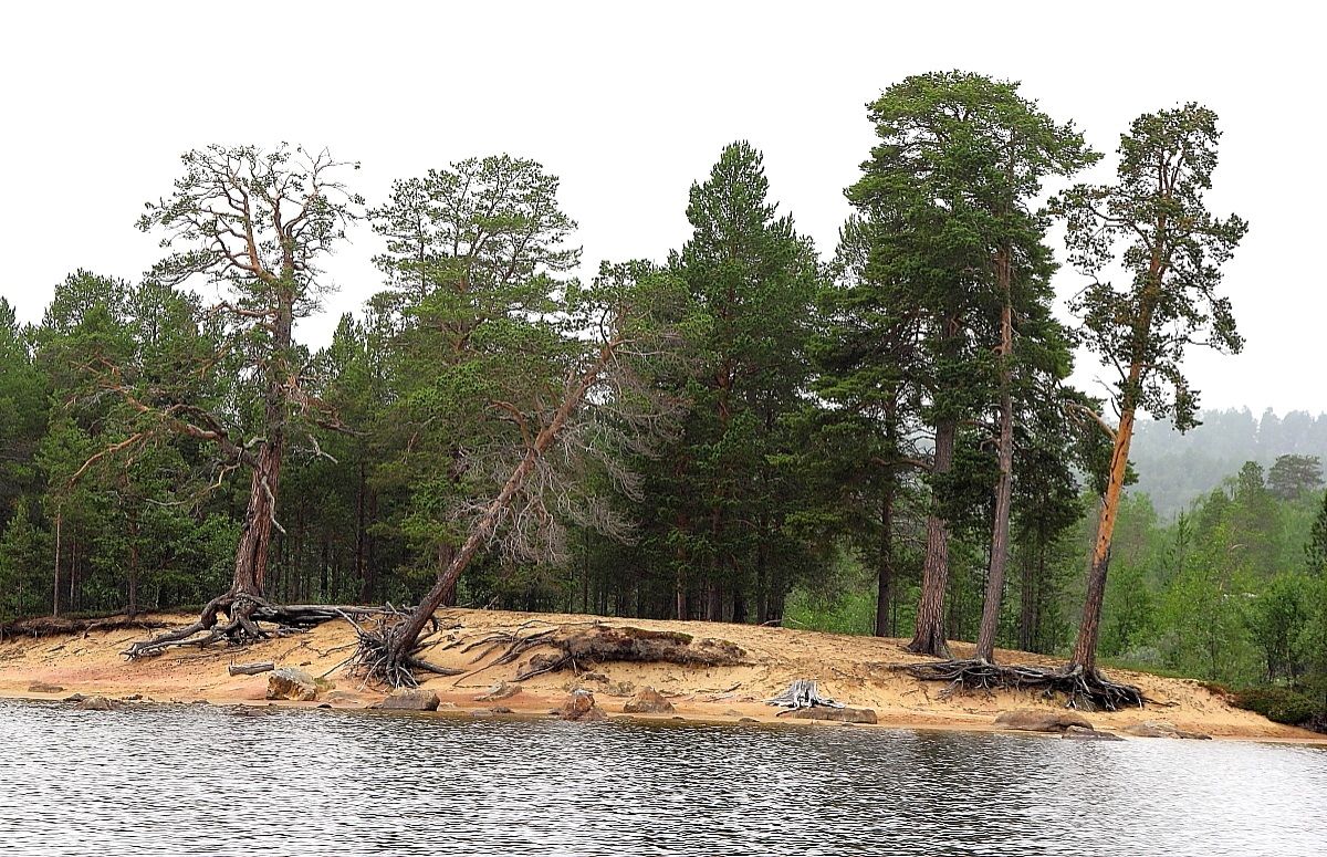 spiaggia off lago Inari in Lapponia