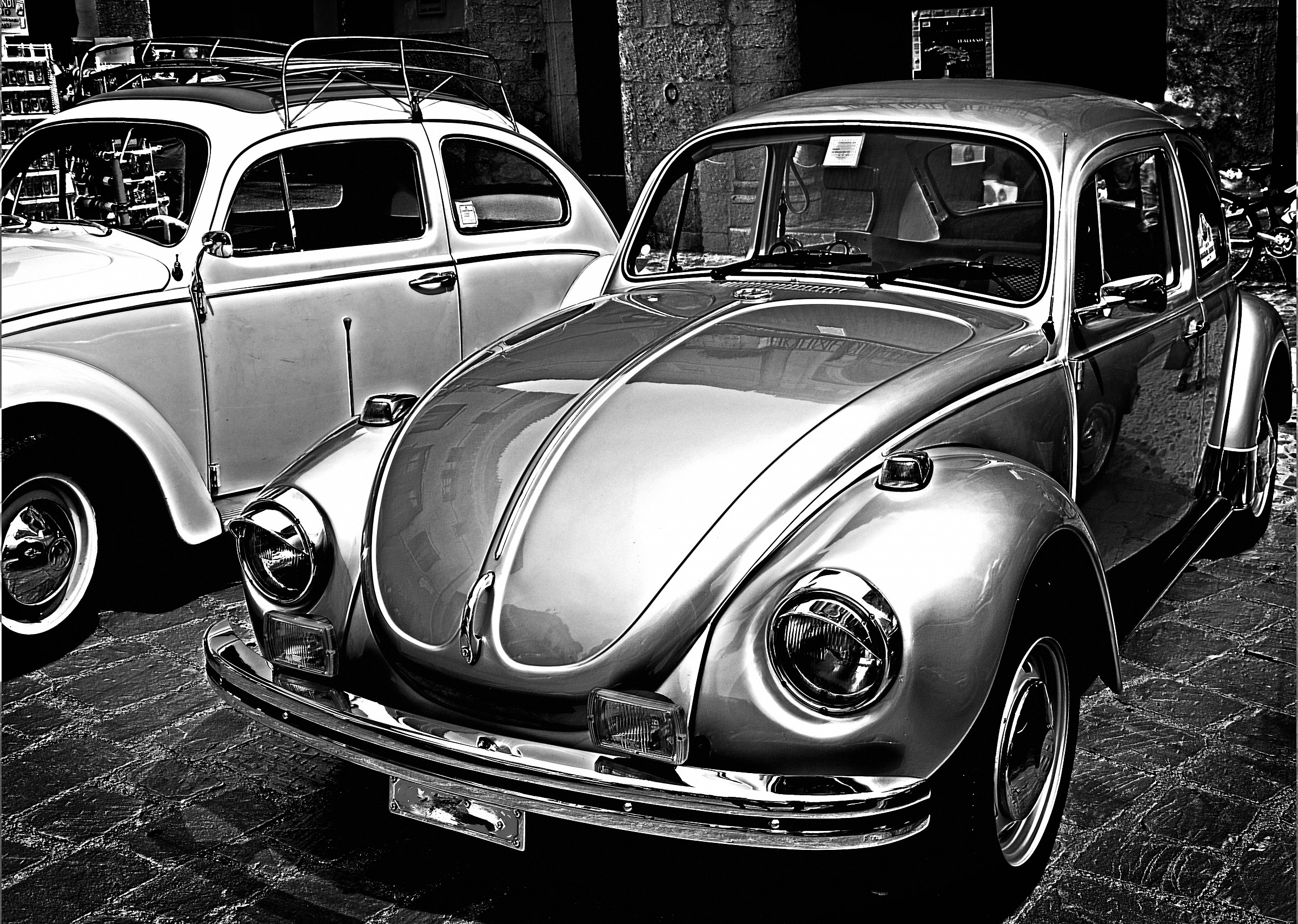 BW Beetle