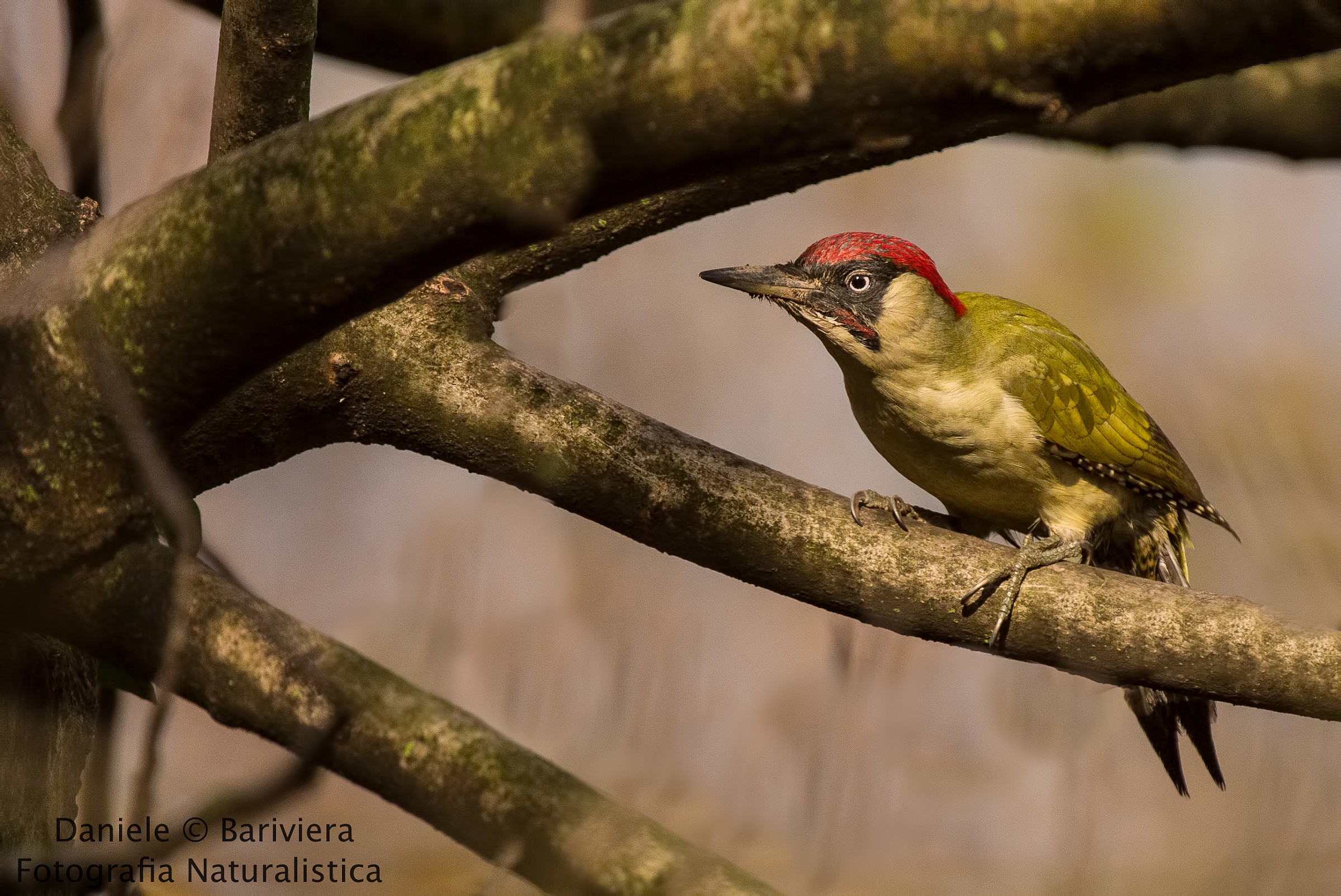 La fine di un'ossessione