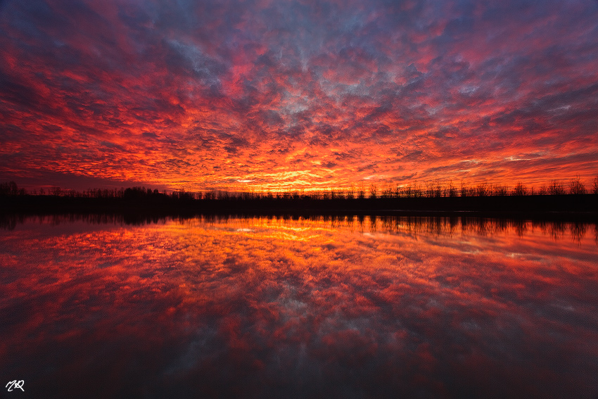 Red explosion - Parco fluviale del Po all'alba, Alessand...