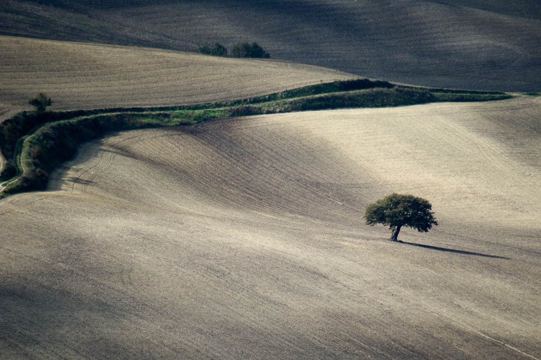 tra Casalnuovo e Torremaggiore