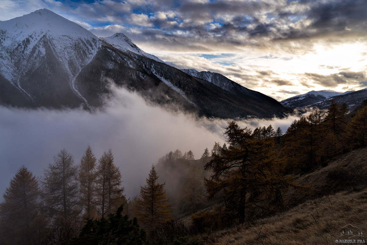 Fog in the upper valley