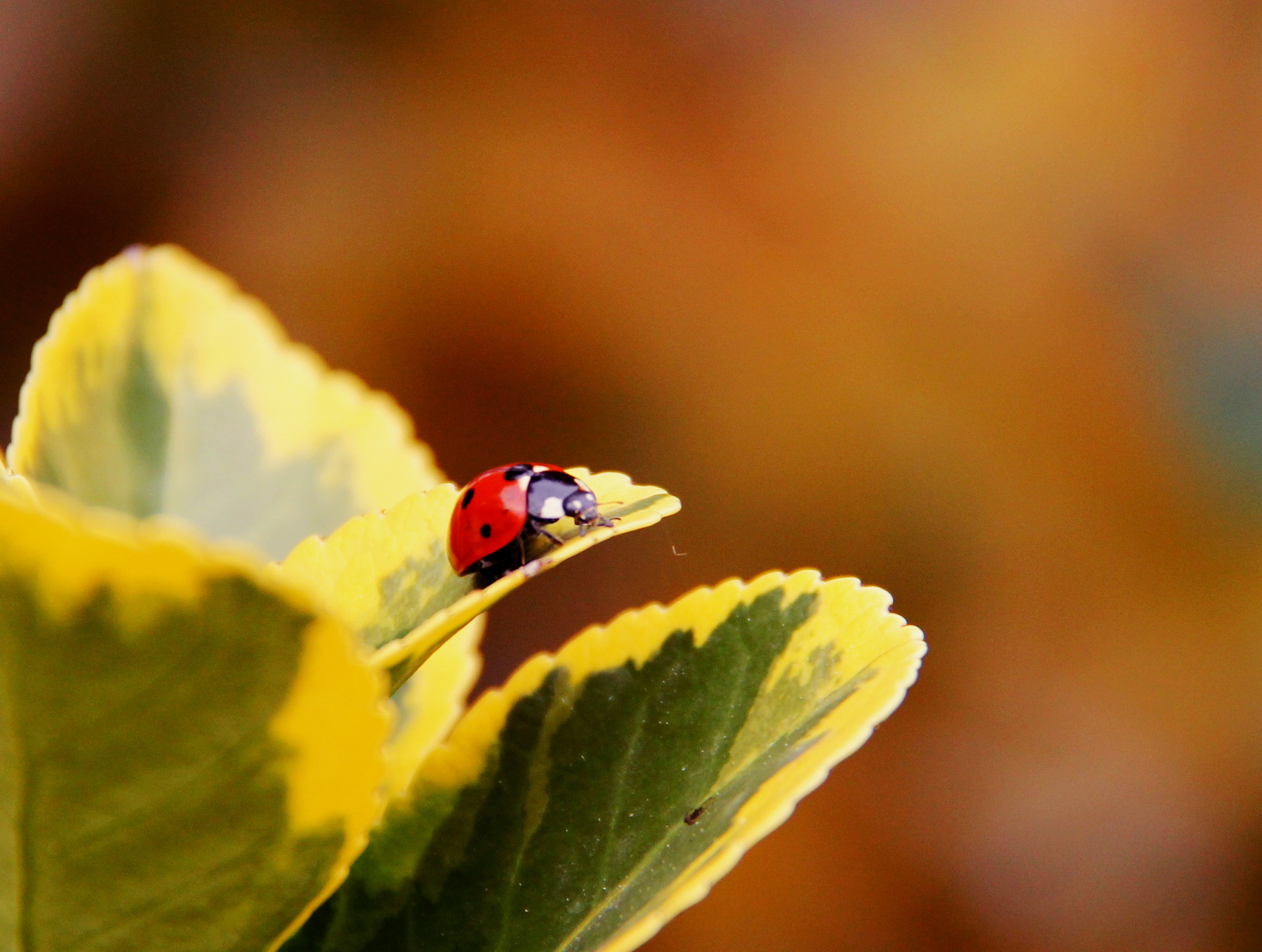 Ready for takeoff .....
