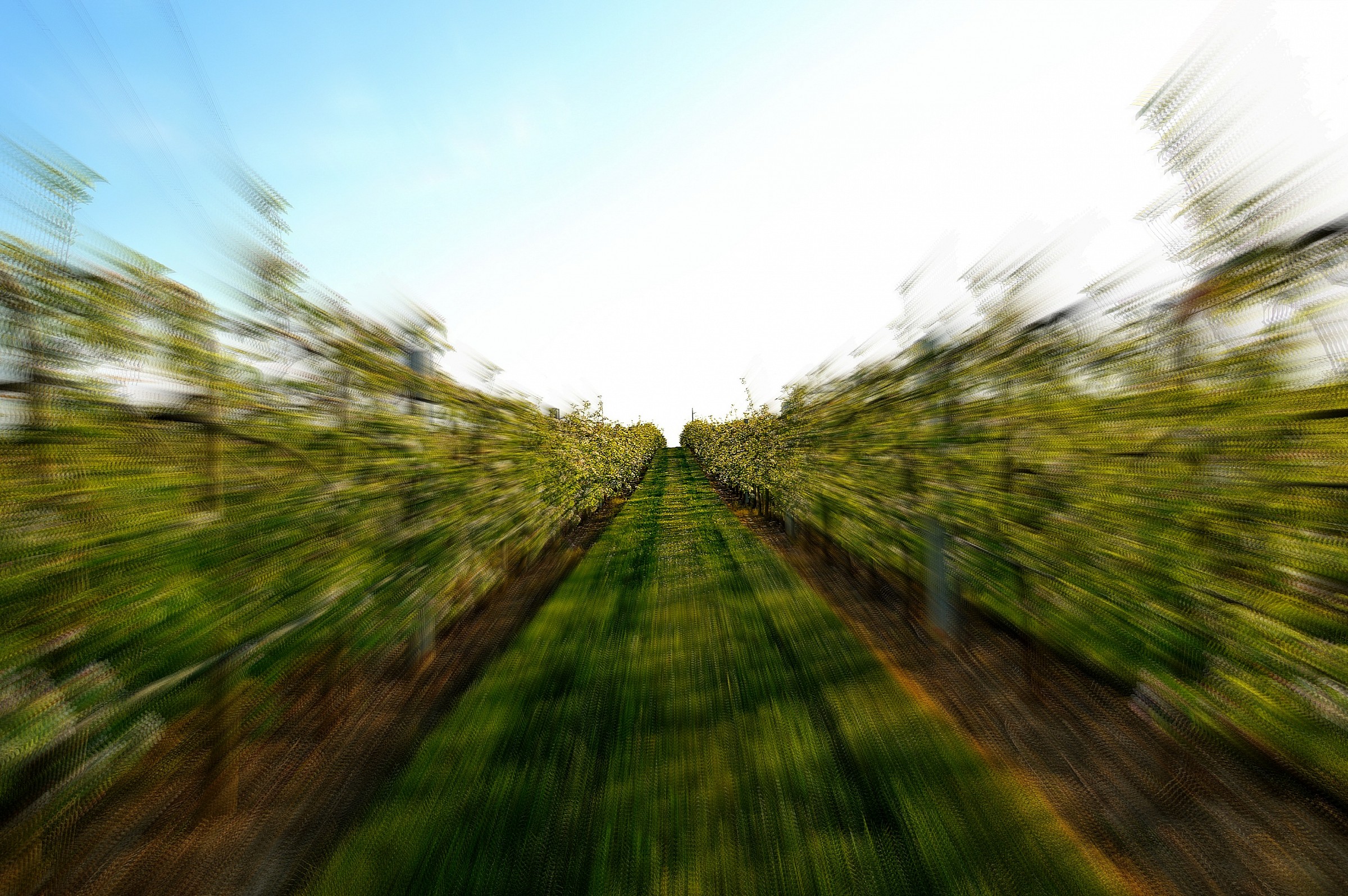 Andando verso il cielo e oltre