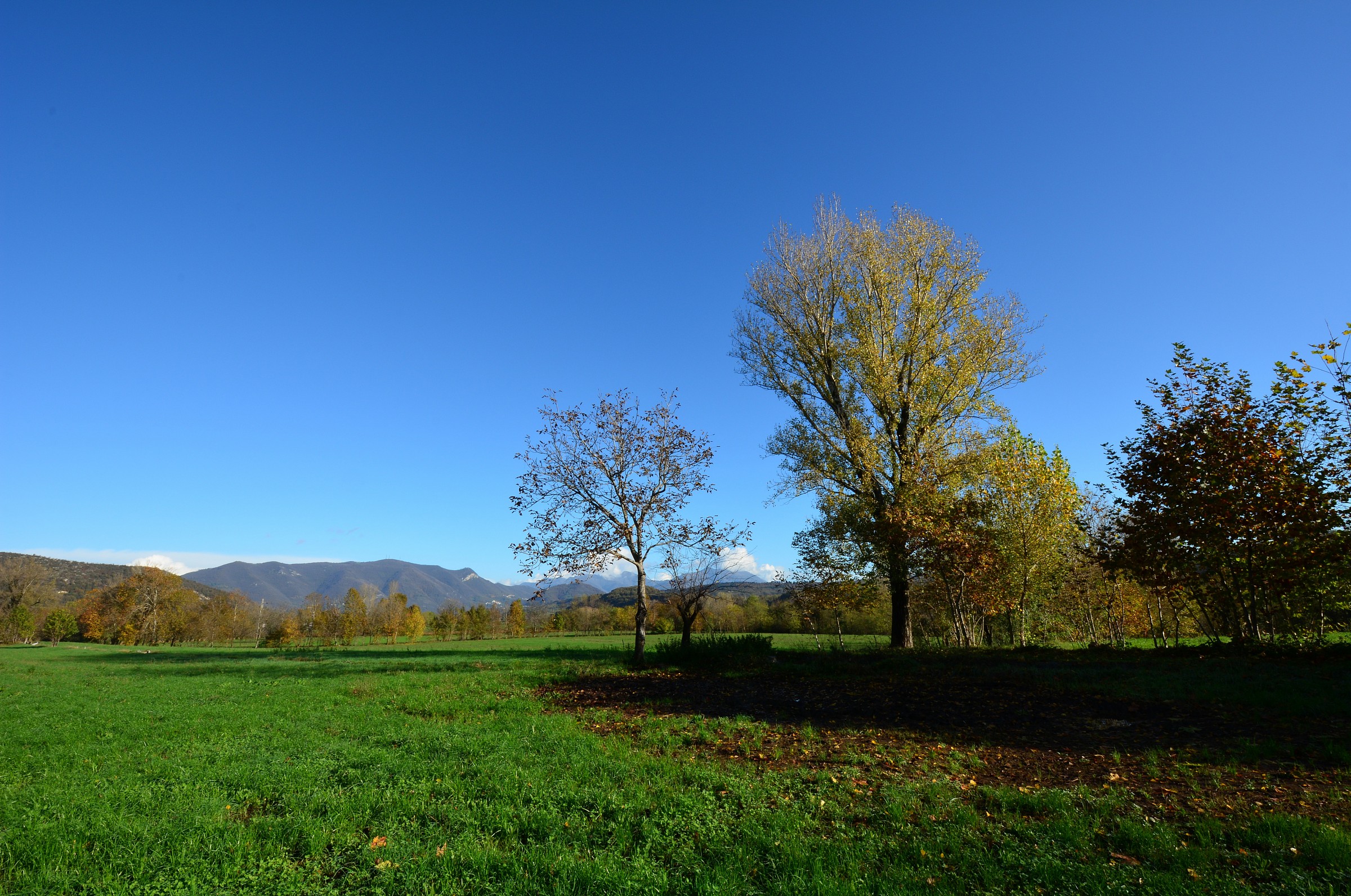 Gavardo 11/16/2014 No. 1