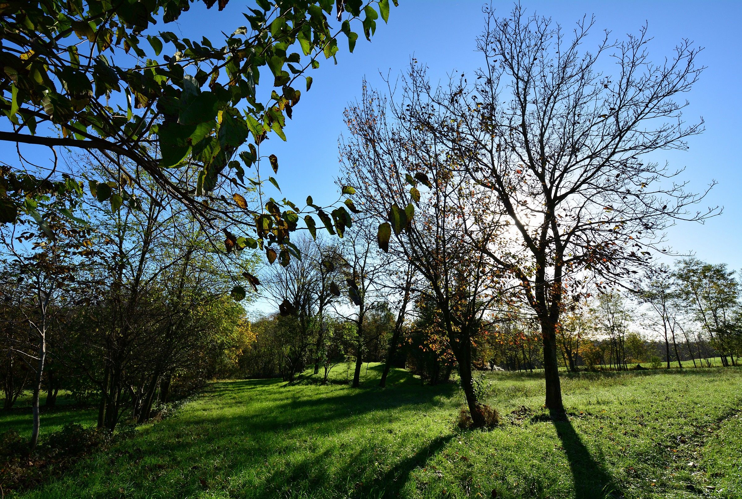 Gavardo 11/16/2014 No. 3