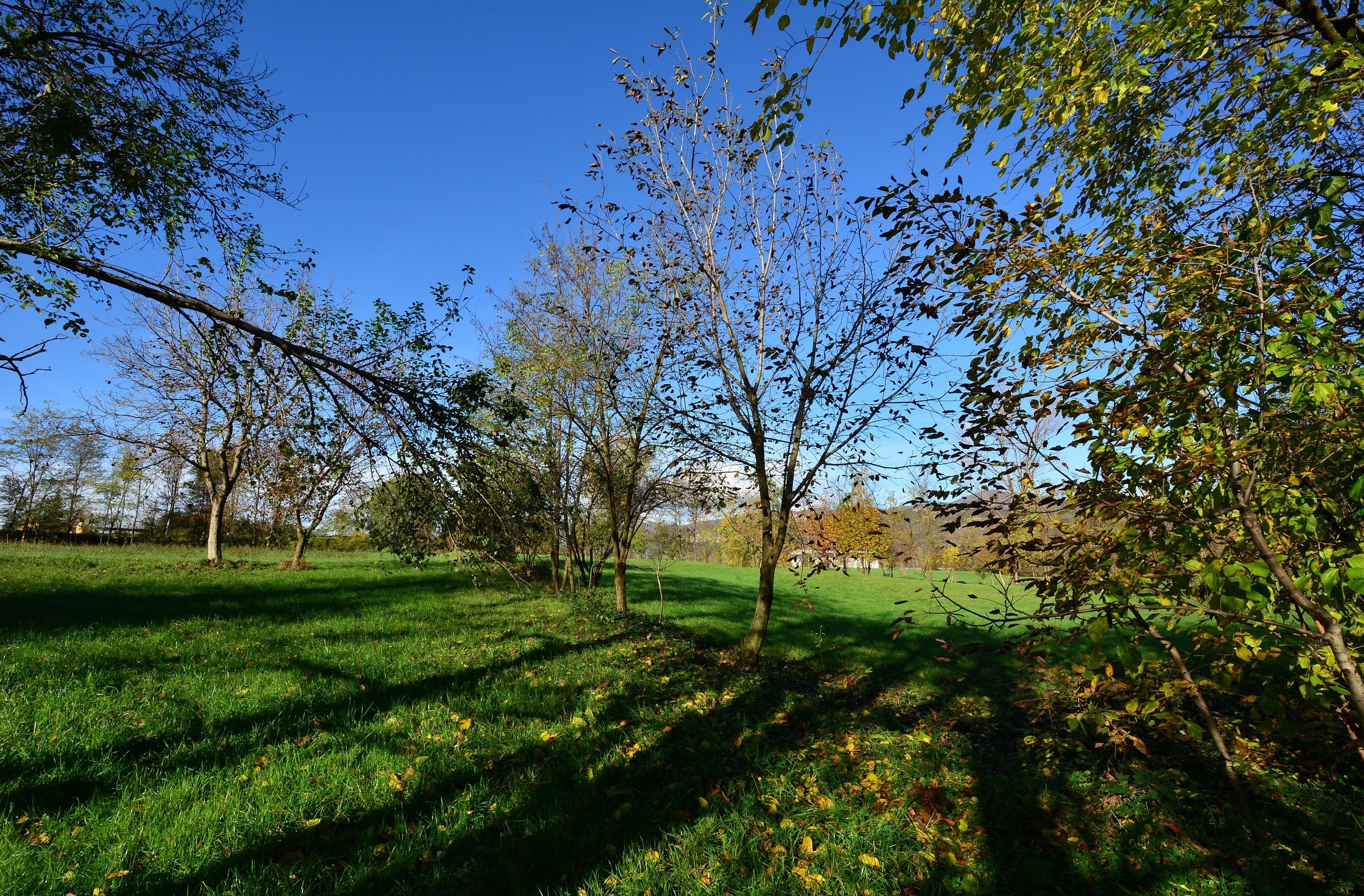 Gavardo 11/16/2014 No. 5