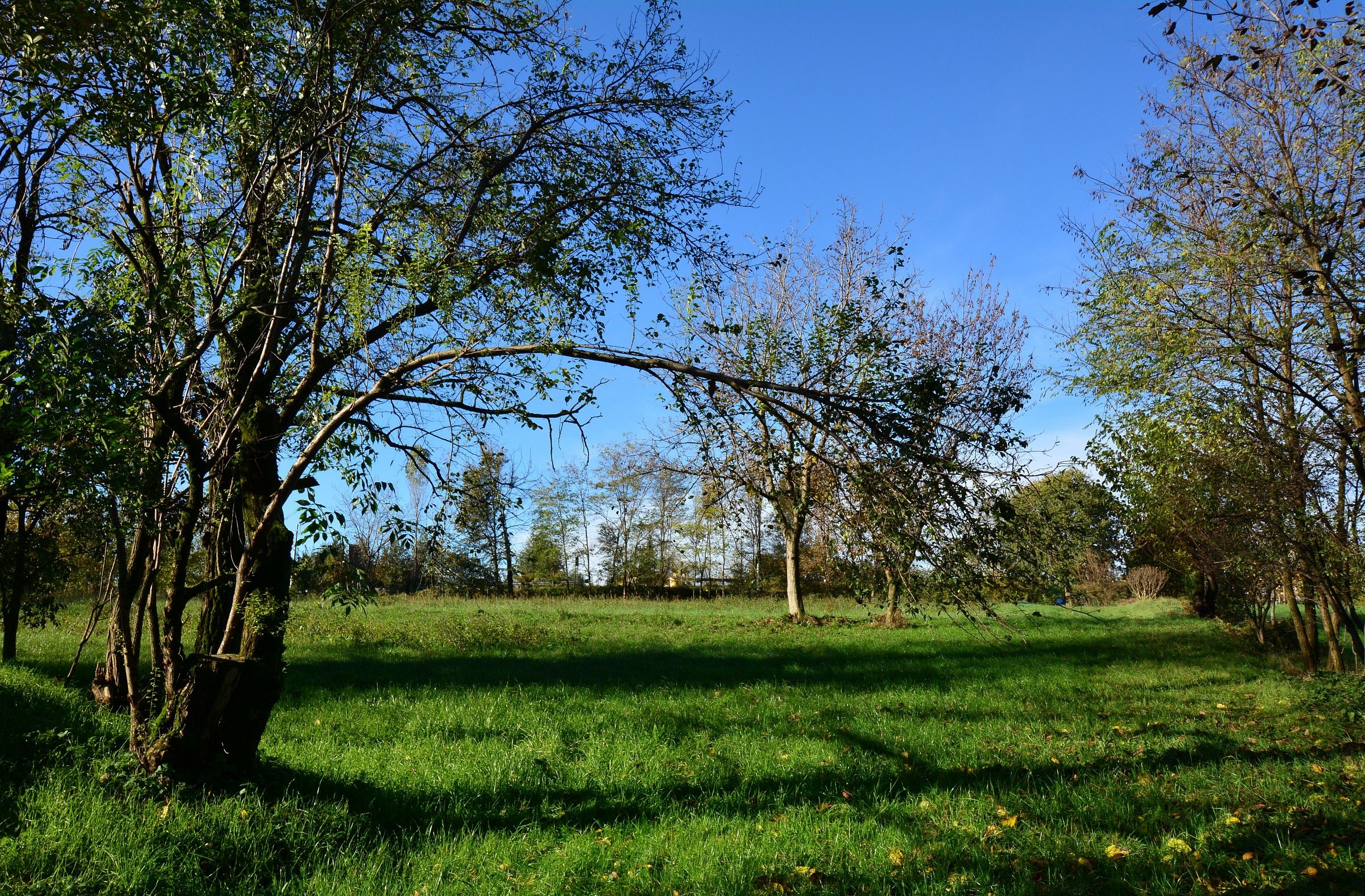 Gavardo 11/16/2014 No. 6