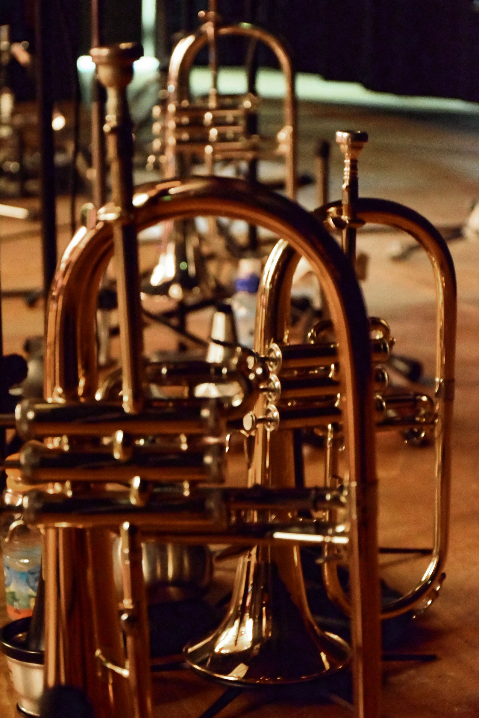 Everything is ready ...