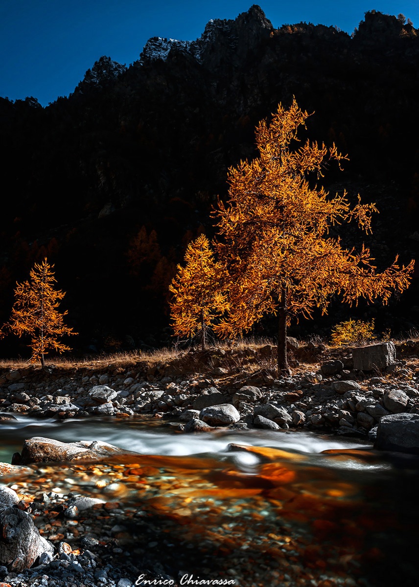 Moments of light and color