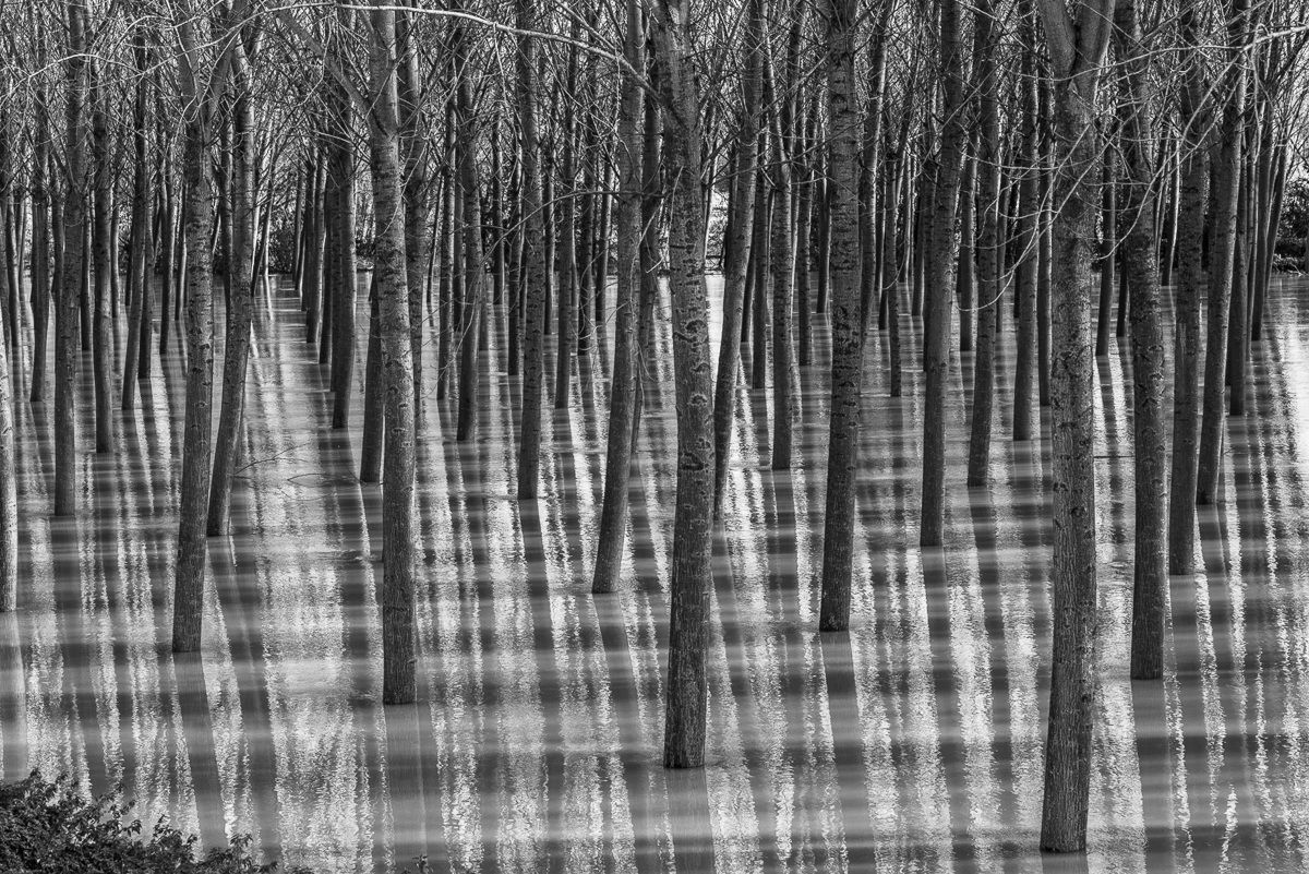 Braids and reflections