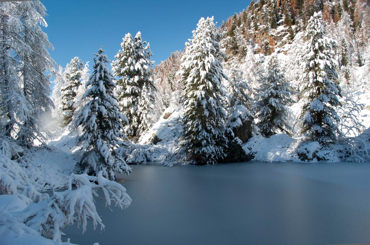 l'inverno ha sconfitto l'autunno