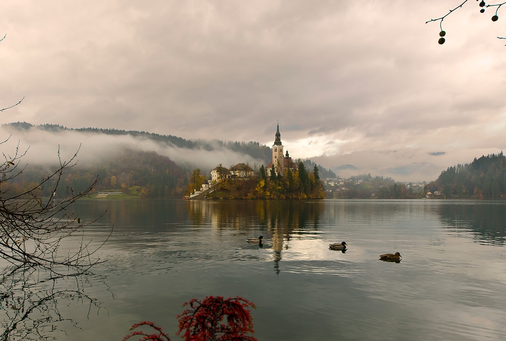 Bled Island