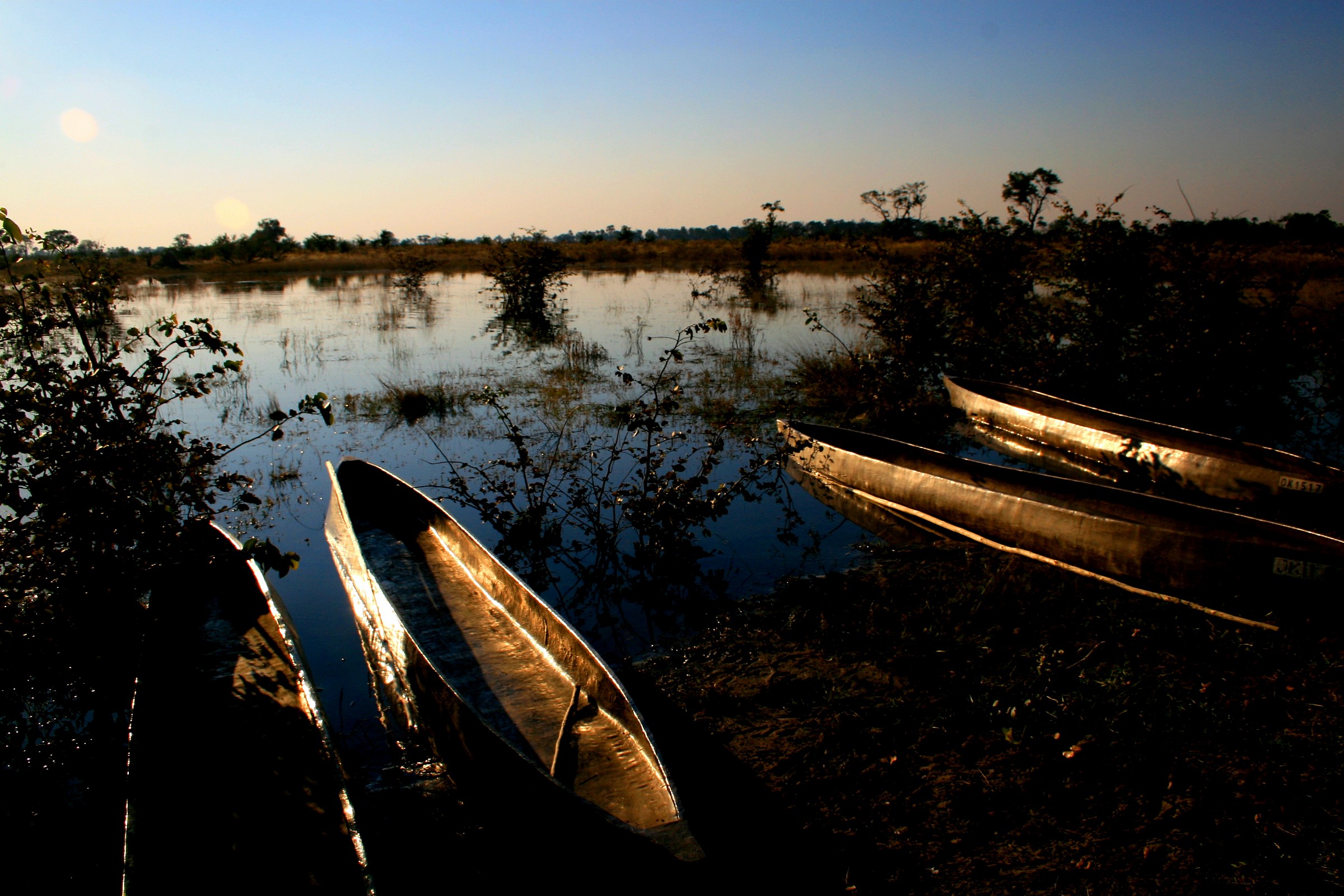 Mokoro at sunset