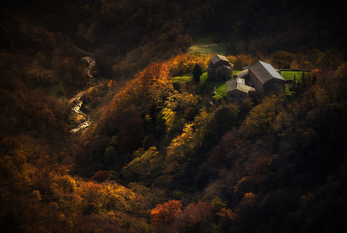 Inside autumn colors