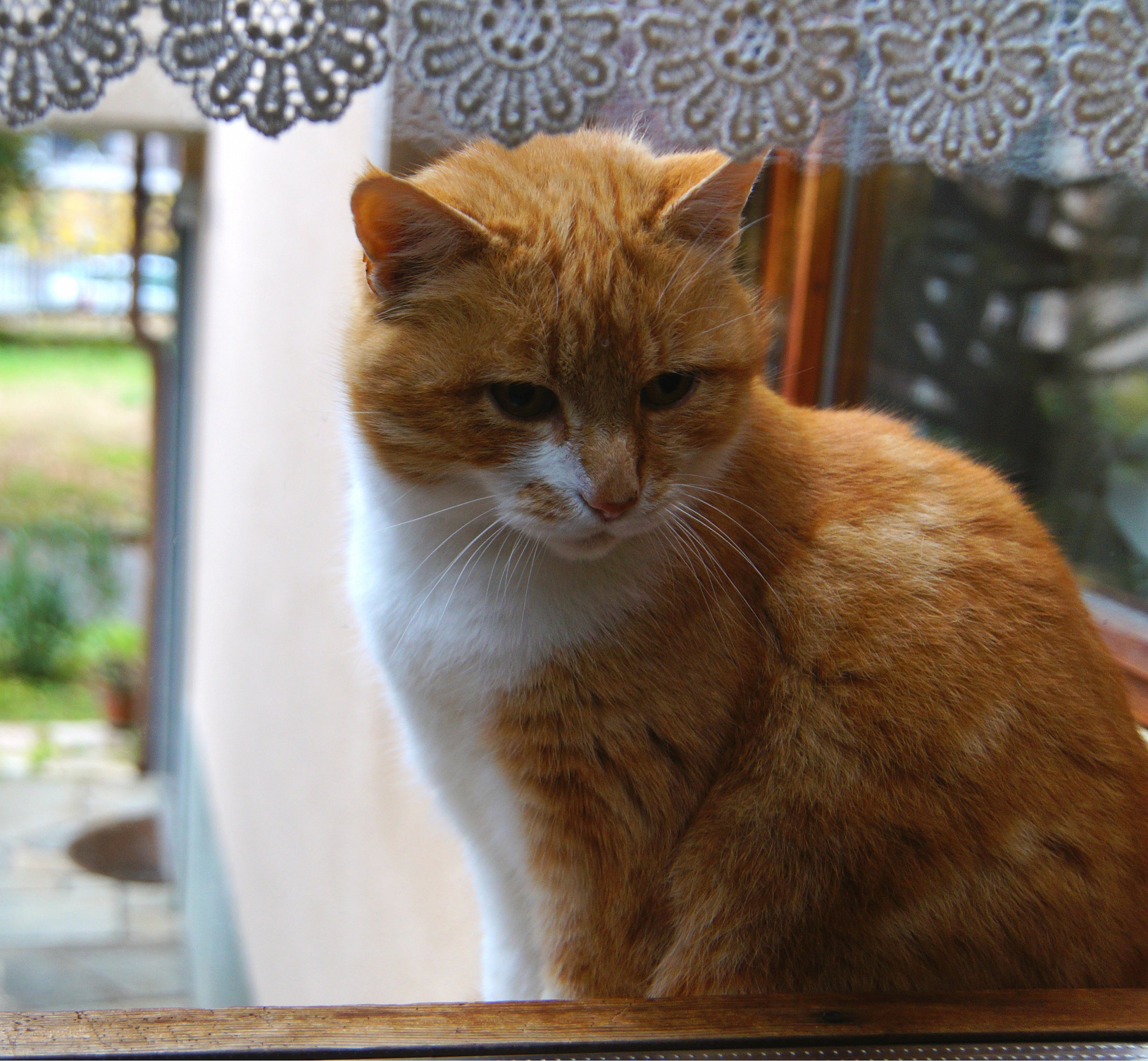 Pioveee! Someone opens the window ??