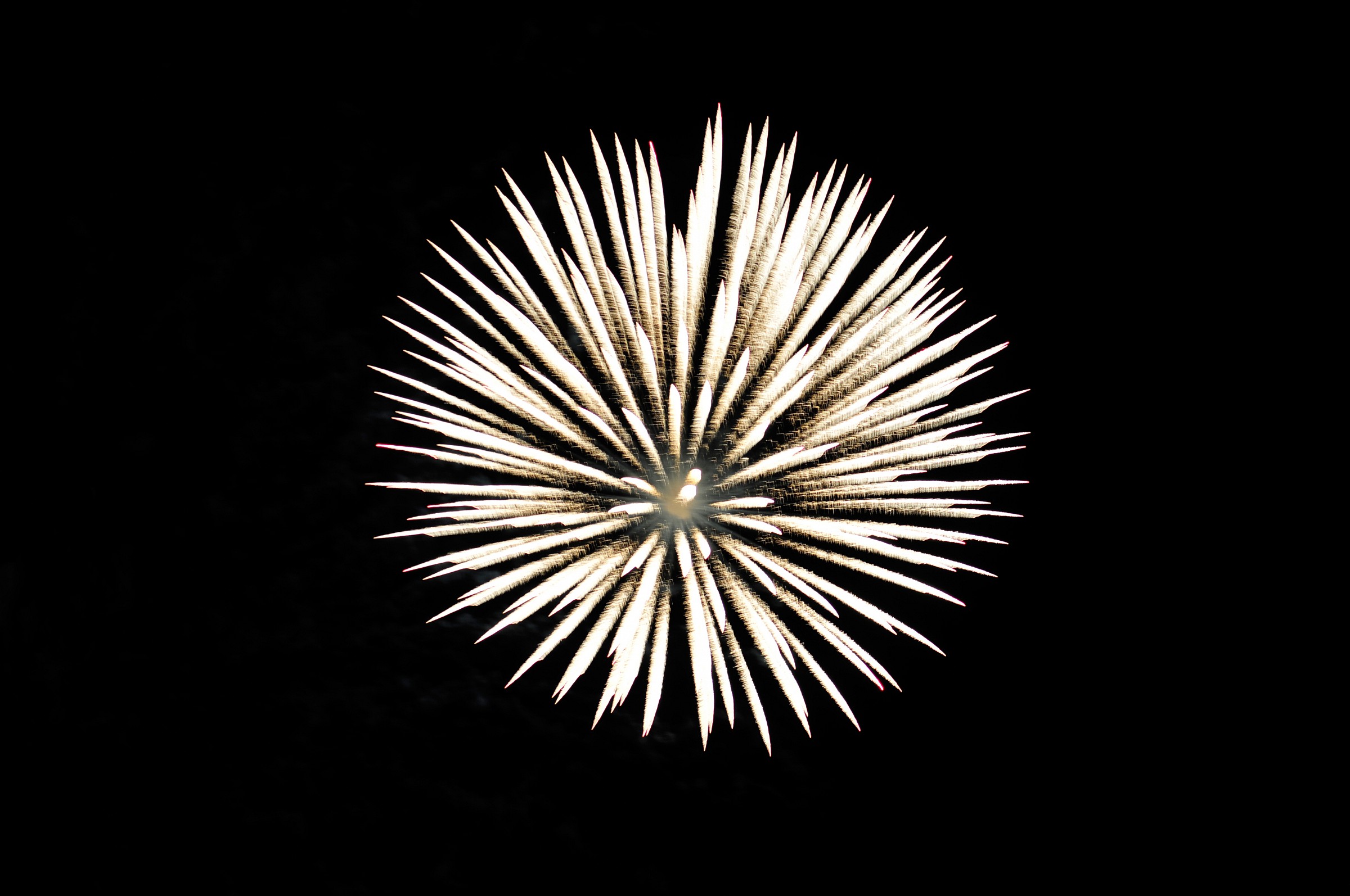 Firework