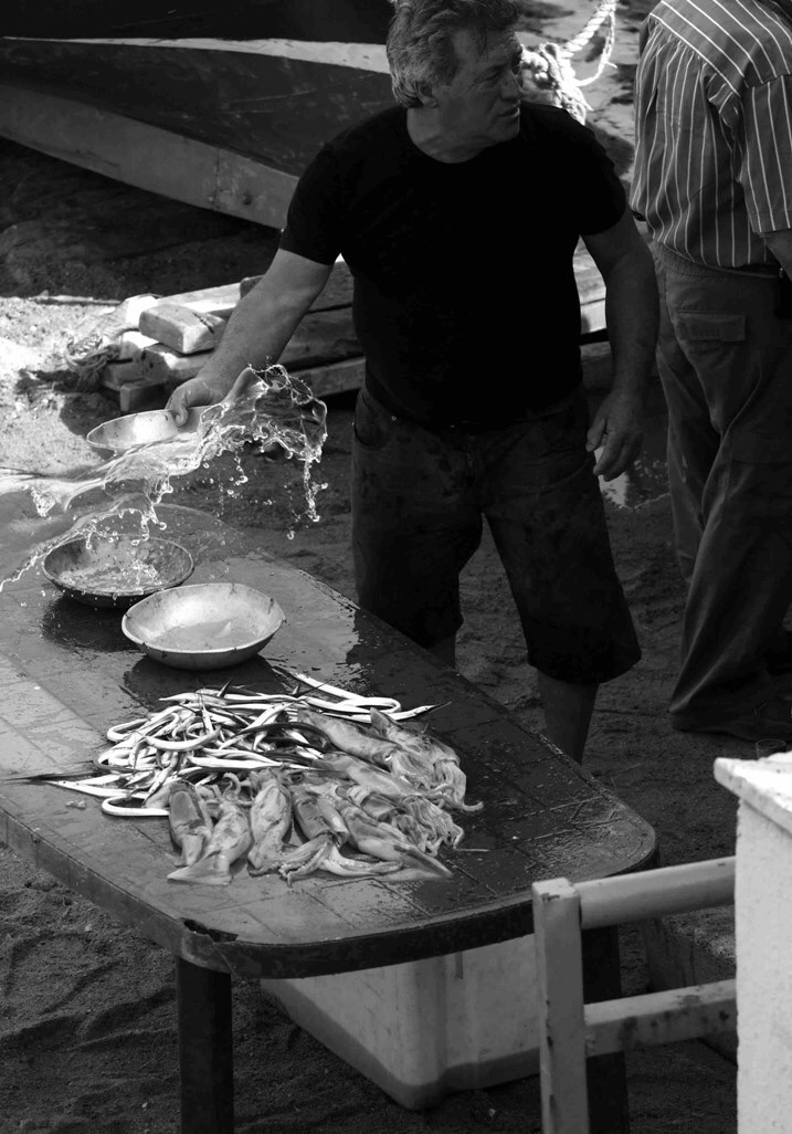 Pesce bello, pesce fresco