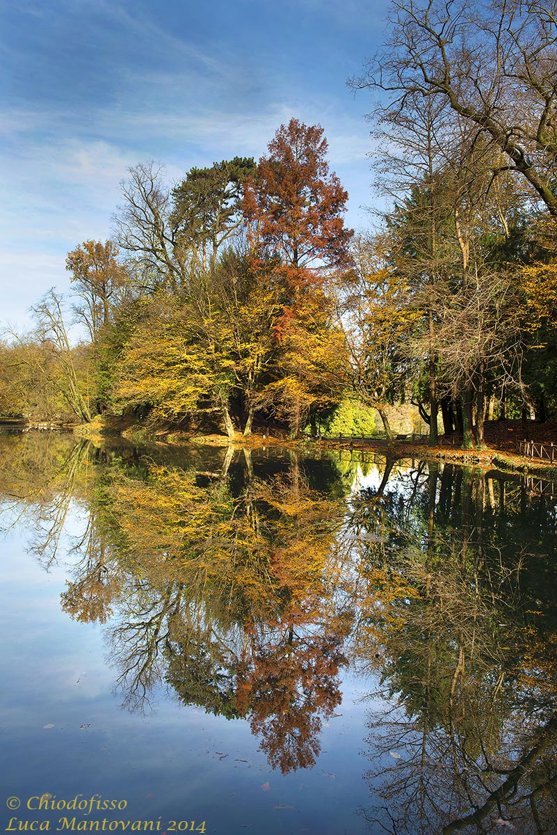 Riflessi nel parco