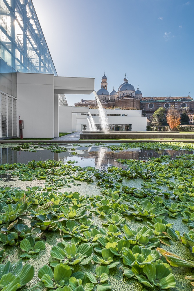 Orto botanico di Padova