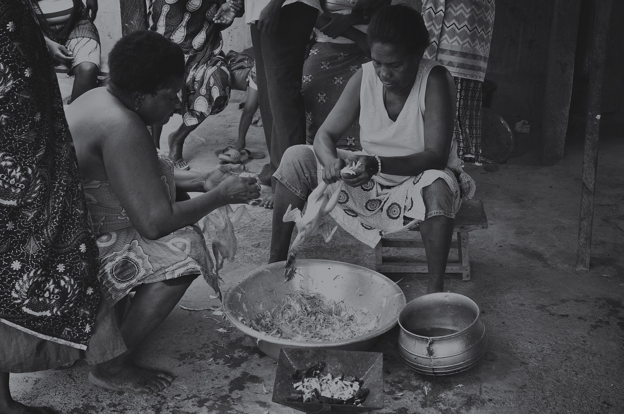 Plucked chicken (tia)