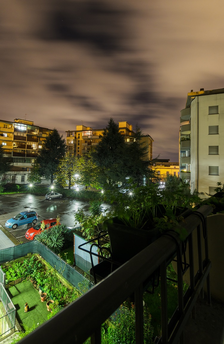 visone dal mio balcone 16.11.2014