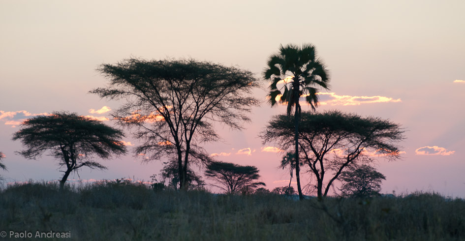 Tramonto sul Ruaha