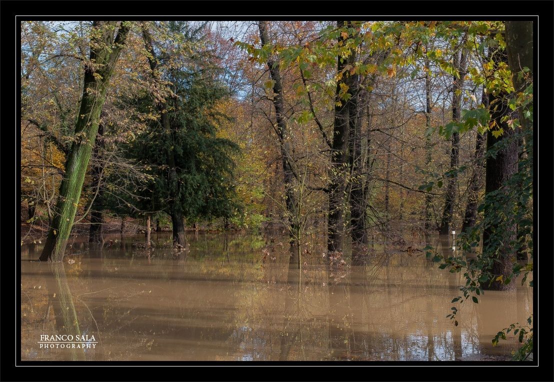 The day after..16/11/2014