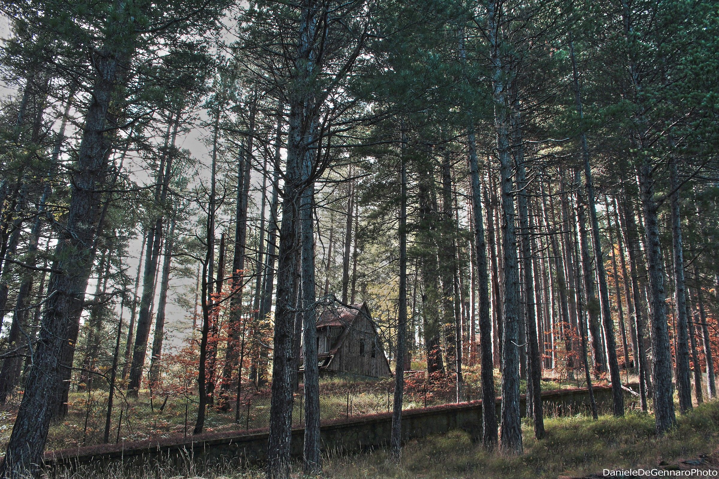 ... Plus a bit of wood