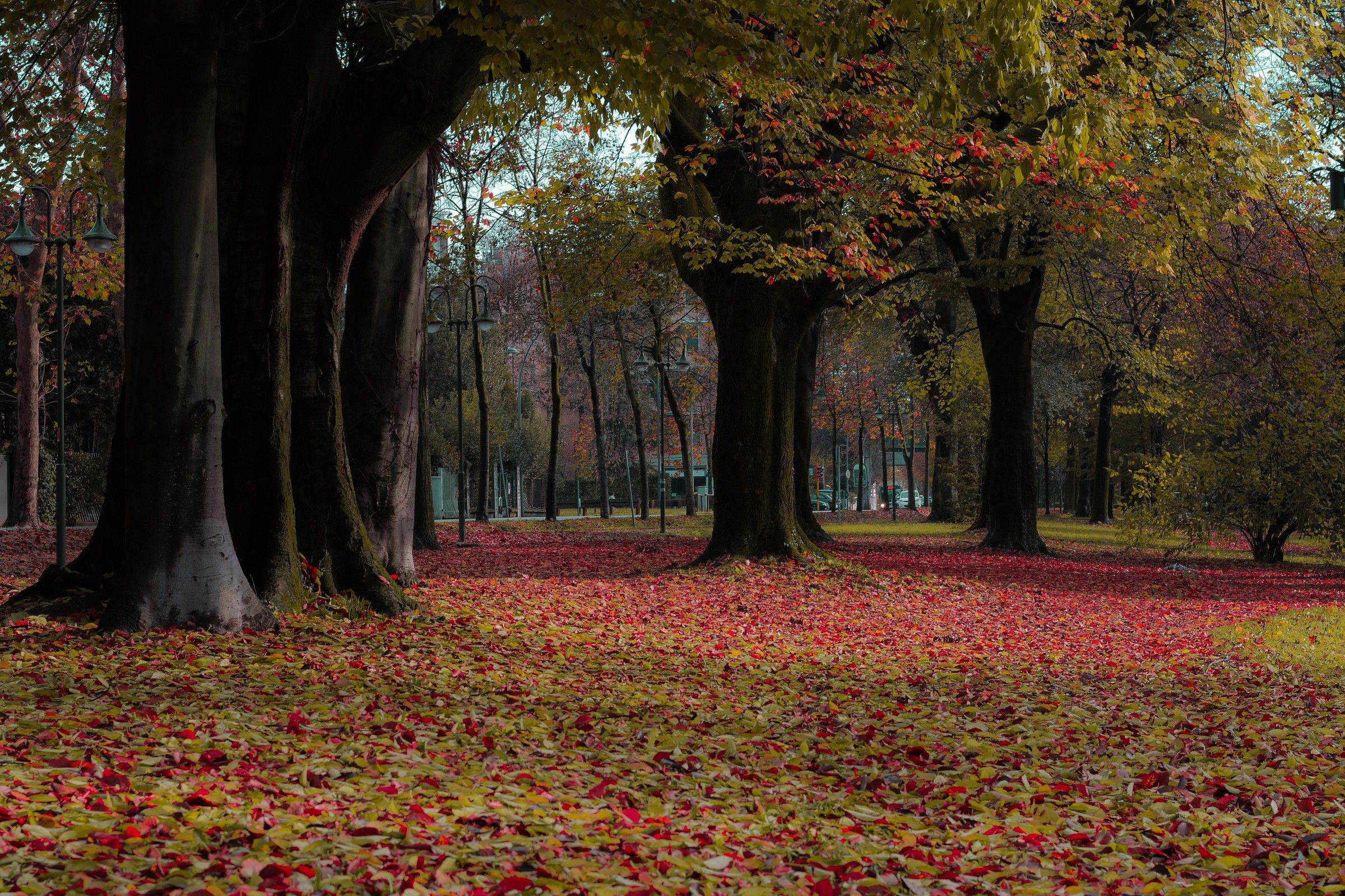 Under the walls of Treviso sixth