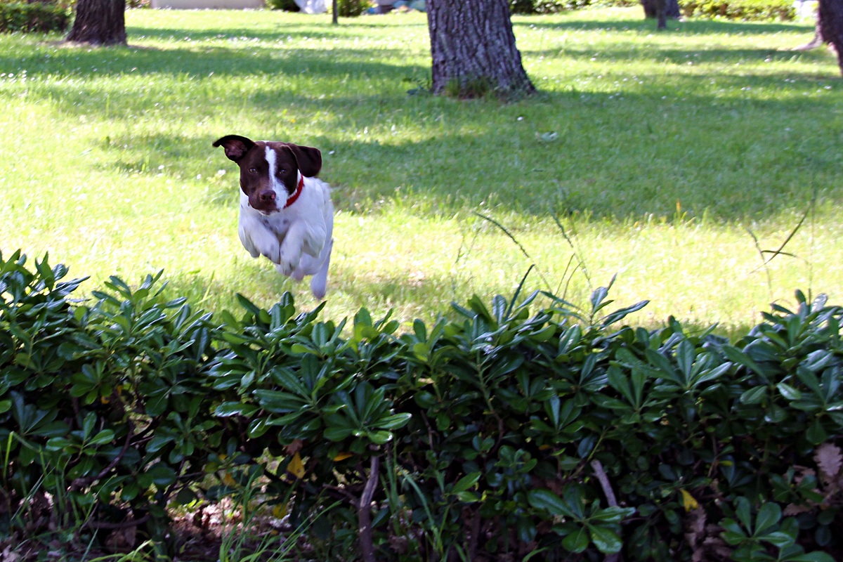 I believe I can Flyyyy .....